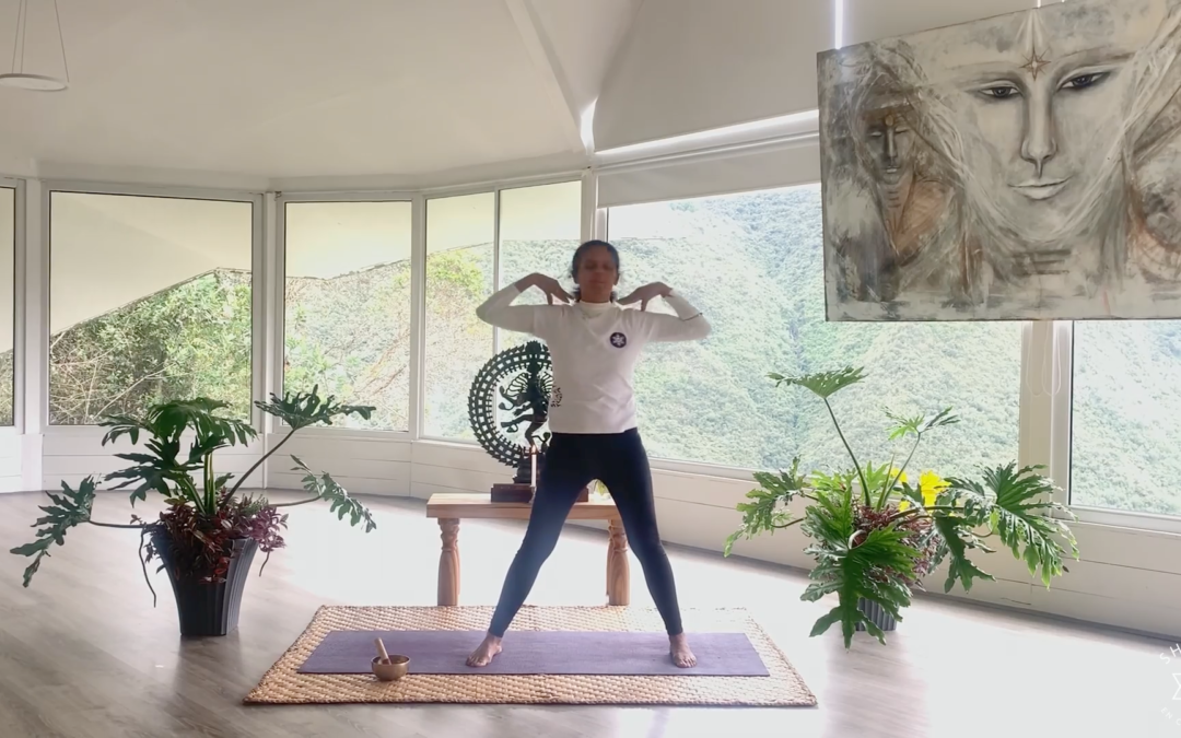 Shiva Tandava – Desde Ashram Caminantes del Amanecer